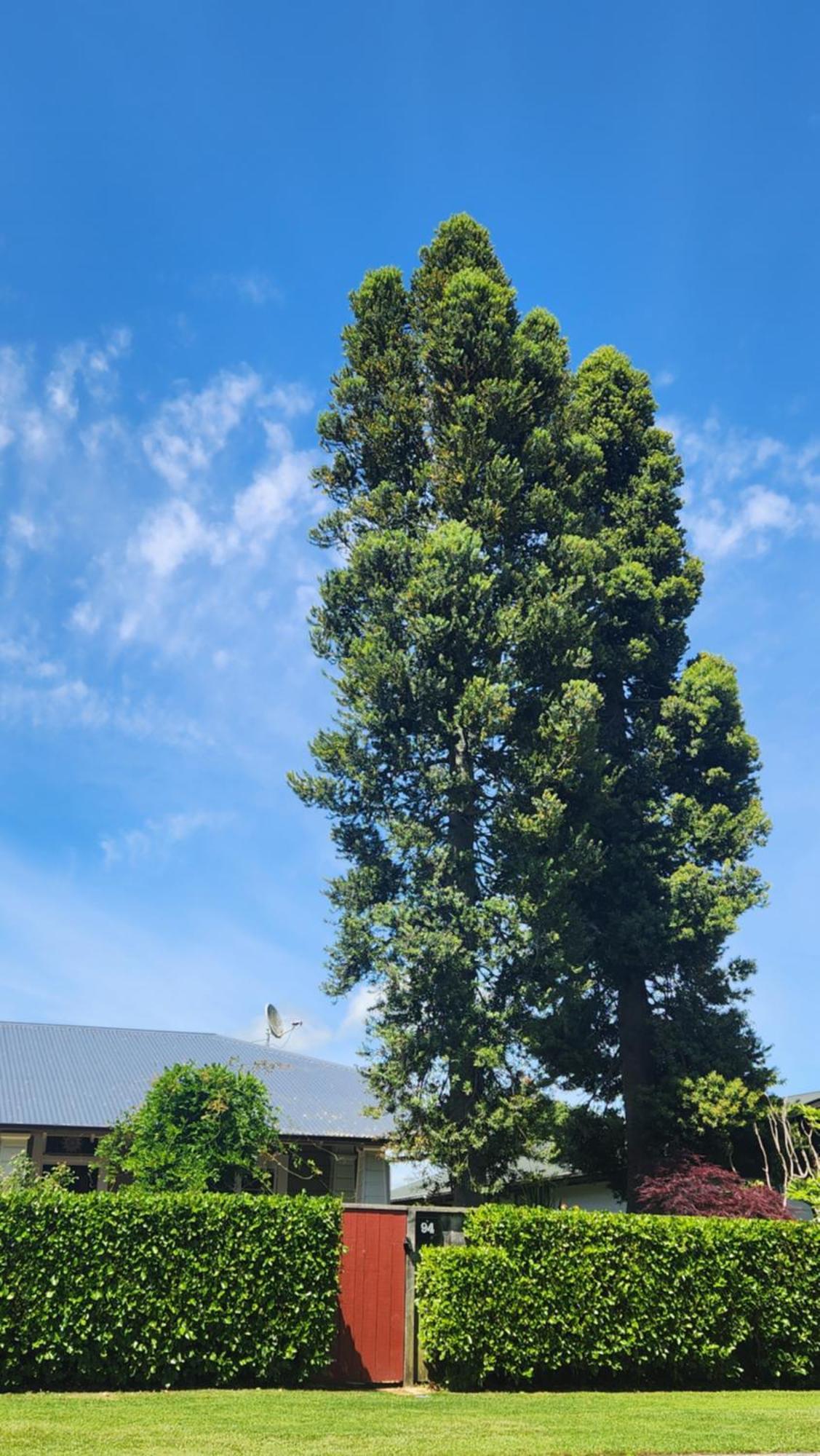 ホテル Twin Kauri'S 94 ケンブリッジ エクステリア 写真